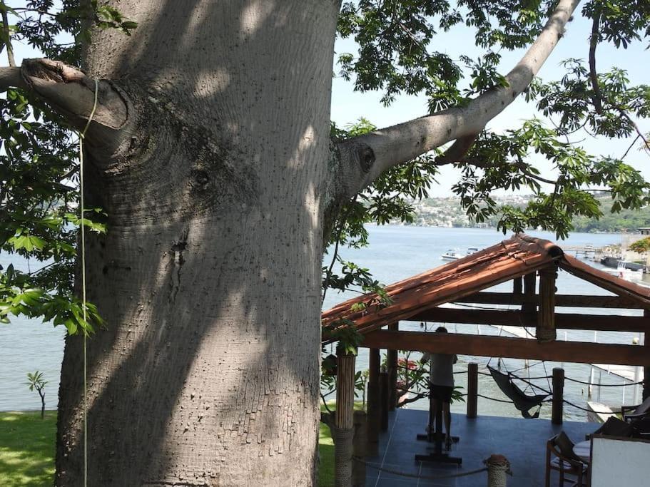 Habitacion Independiente A Pie Del Lago Con Ac Tequesquitengo Exteriör bild
